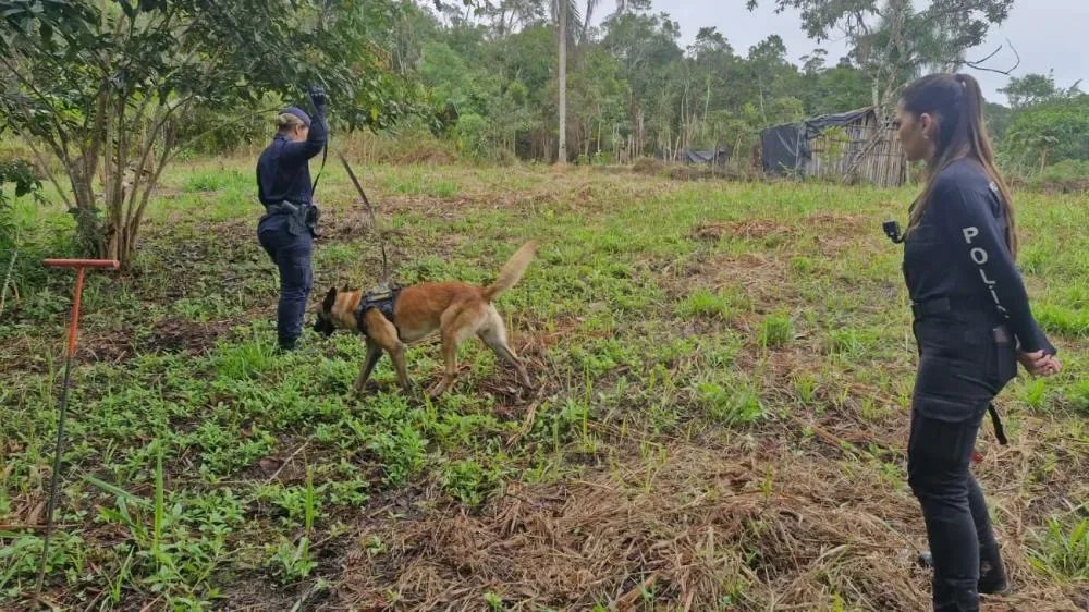 Cães especializados reforçam buscas por jovem em Pariquera-Açu