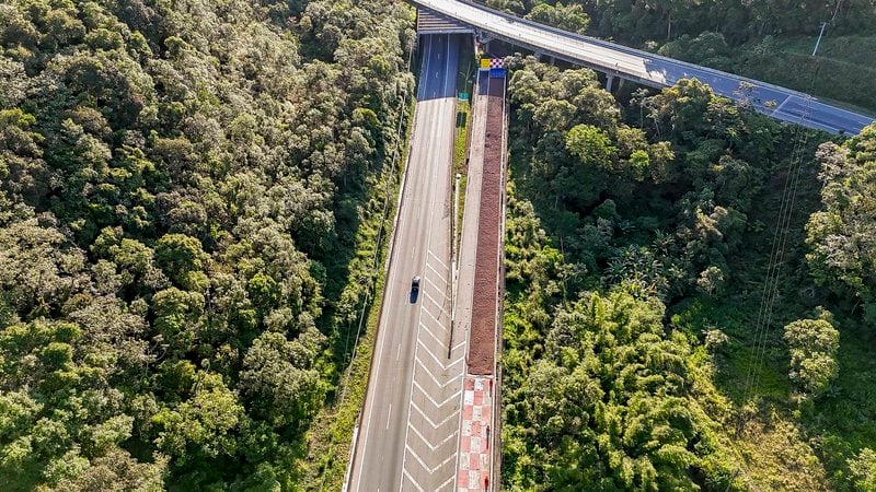 Régis Bittencourt deve receber 689 mil veículos no feriado da Paixão de Cristo