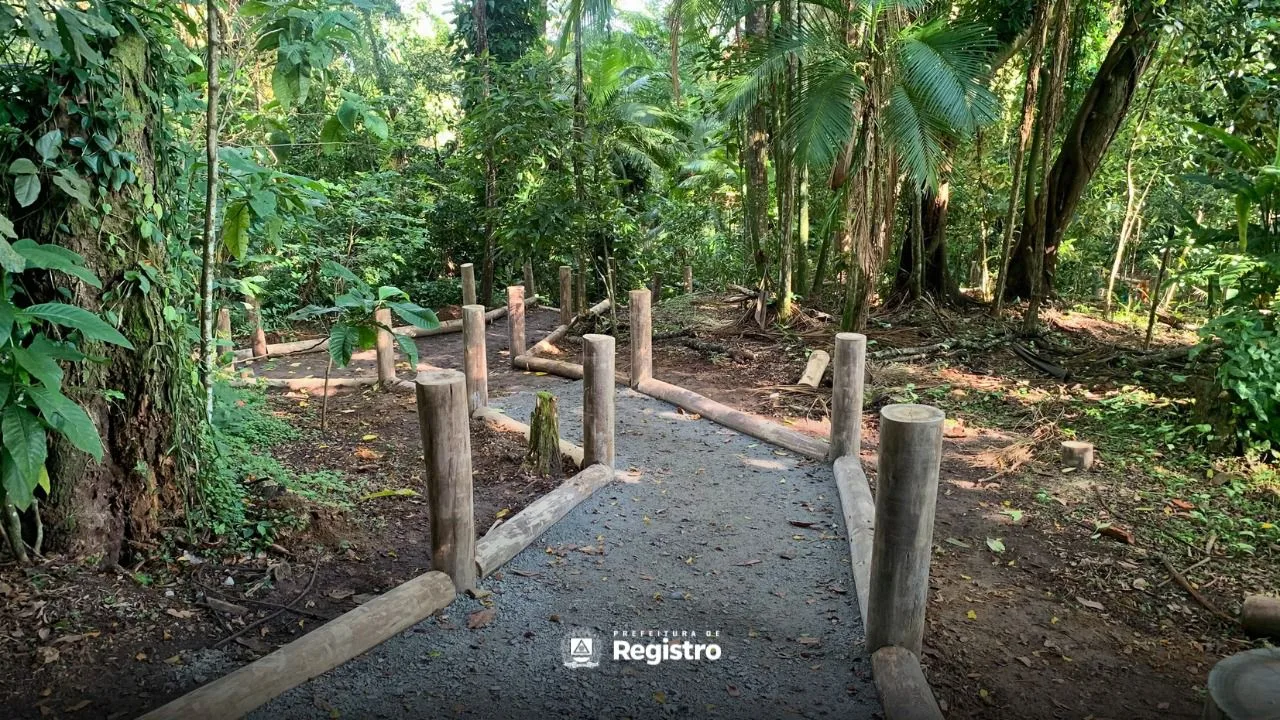 Bosque Torazo Okamoto em Registro terá trilha revitalizada e novo percurso para visitantes