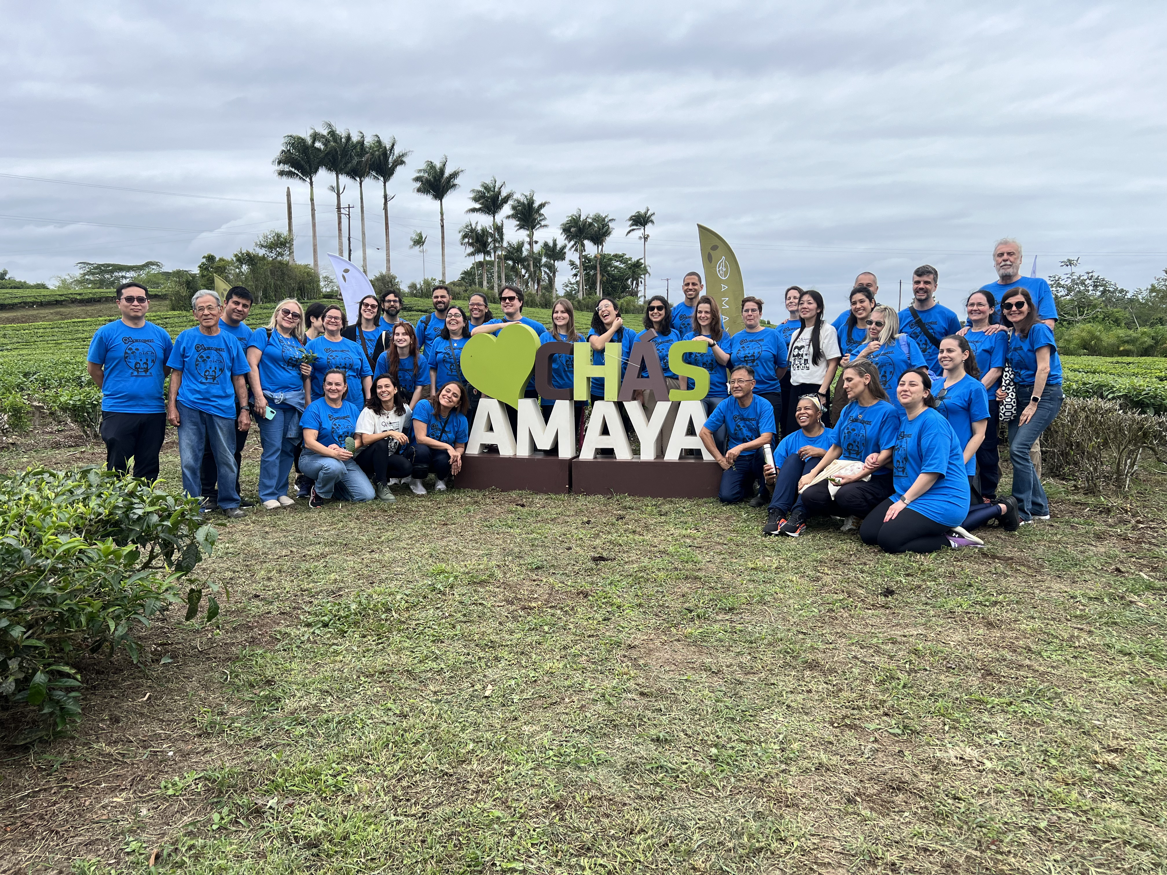 Rota do Chá chega aos 10 anos e fortalece a identidade de Registro como capital do chá no Brasil