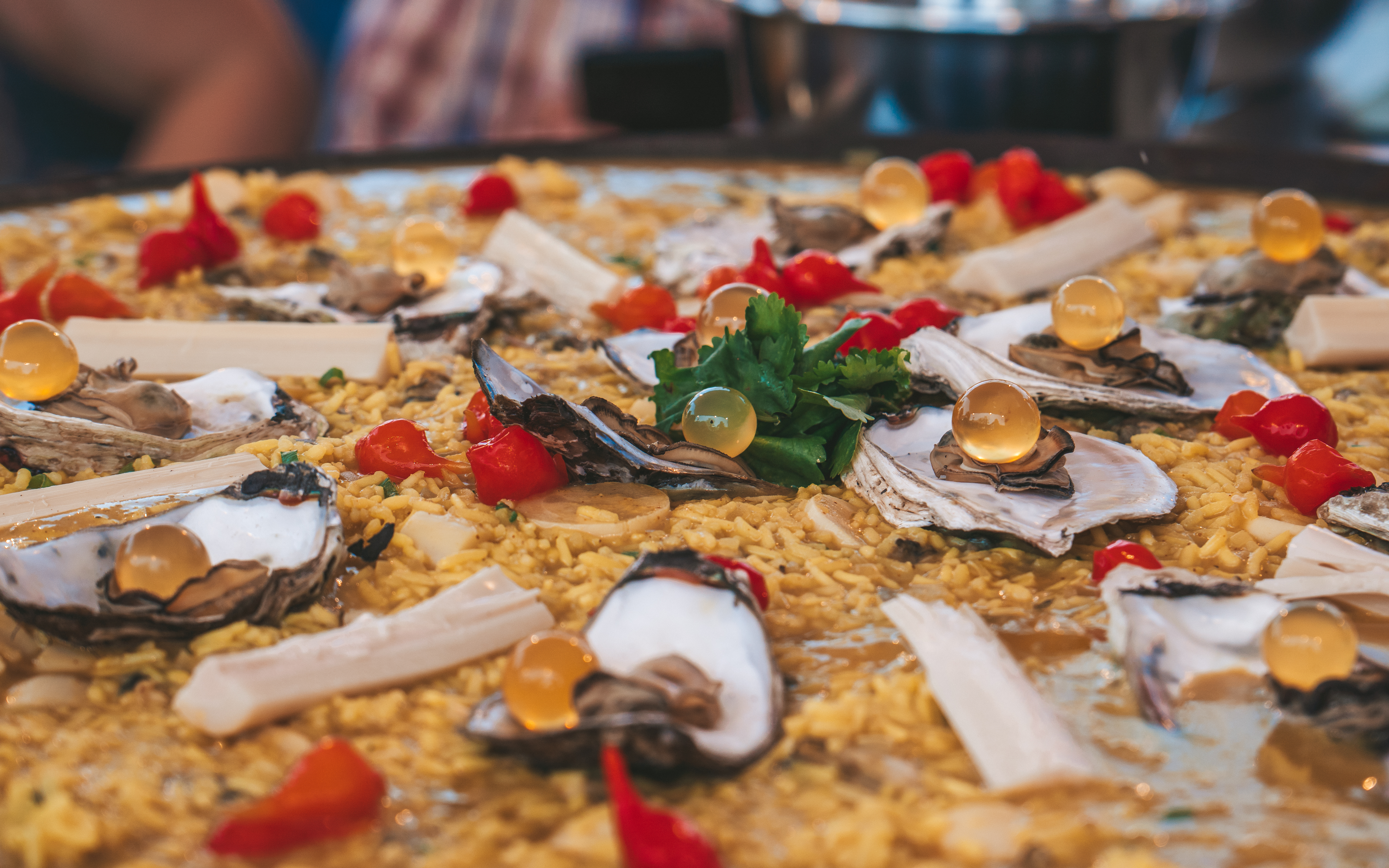 1ª Feira Gastronômica do Vale do Ribeira reúne público e chefs renomados em Iguape