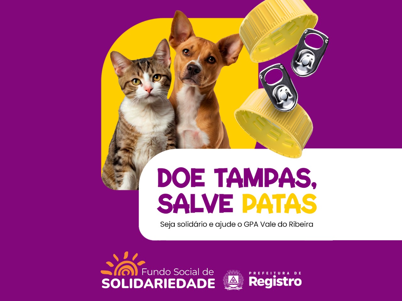 Doe tampas e lacres: campanha de Registro apoia proteção animal