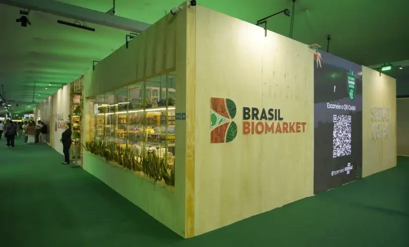 Artesãs do Vale do Ribeira representam São Paulo na COP 30