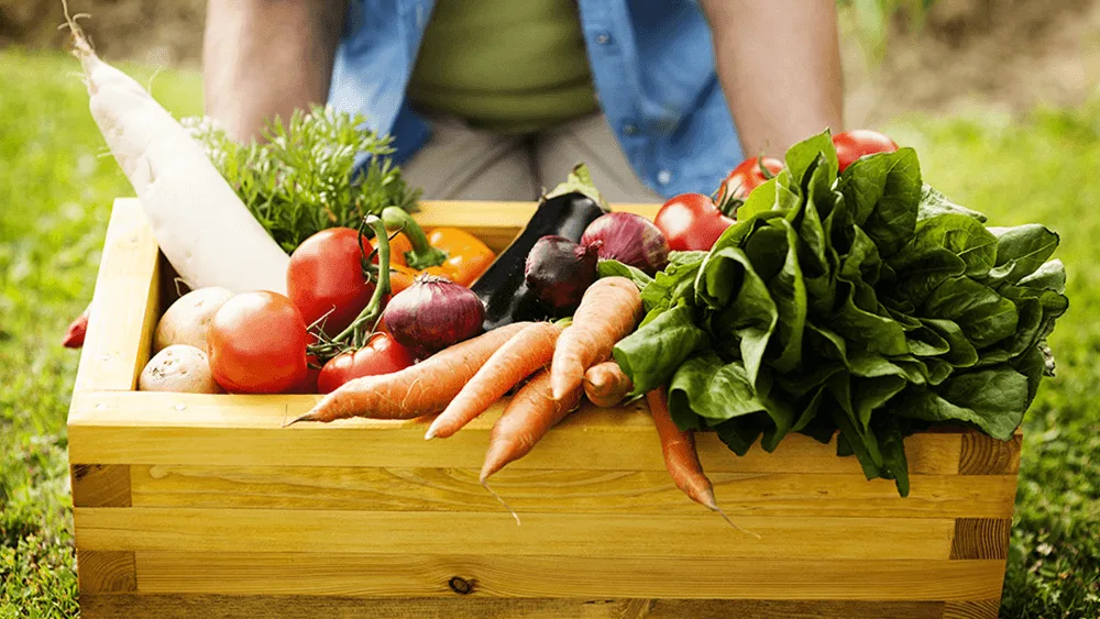 Registro recebe encontro sobre alimentação, agricultura e cultura entre Brasil e Japão