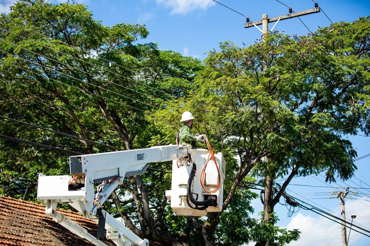 Podas e manutenções preventivas reforçam segurança da rede elétrica de Registro e cidades vizinhas